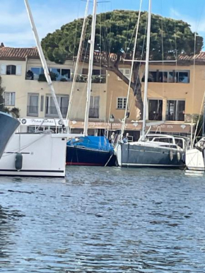 Port Grimaud le Grand Pin